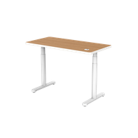 Natureza de mesa em pé